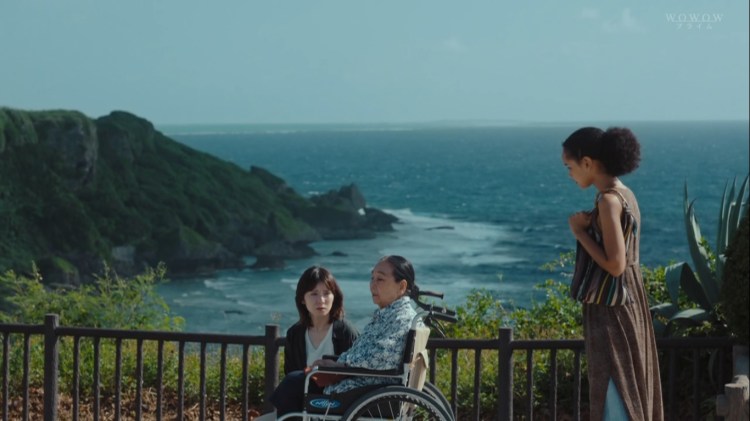 “Fence”: perché vederlo?